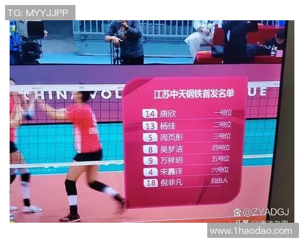 南京排球队在全国排球力量排行榜中荣获第八名展现出强劲实力与团队精神