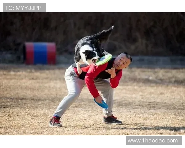 北京飞盘队在阵地战中的表现分析与战术反思