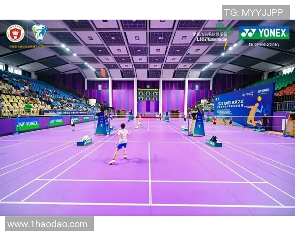 南京羽毛球队心理素质的变革与提升探讨热议羽毛球运动的未来发展