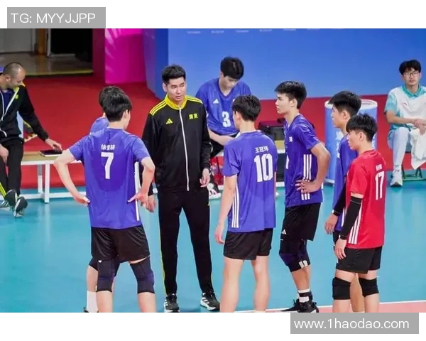 排球巨献：深入分析广州排球队员的个人技术与战术素养