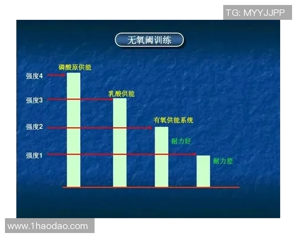 武汉羽毛球队防反体系的战术解析与实战应用探讨
