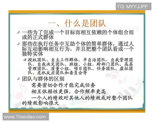 西安羽毛球队在冠军赛中的个人能力展现与团队协作分析 西安羽毛球队在冠军赛中的个人能力展现与团队协作分析