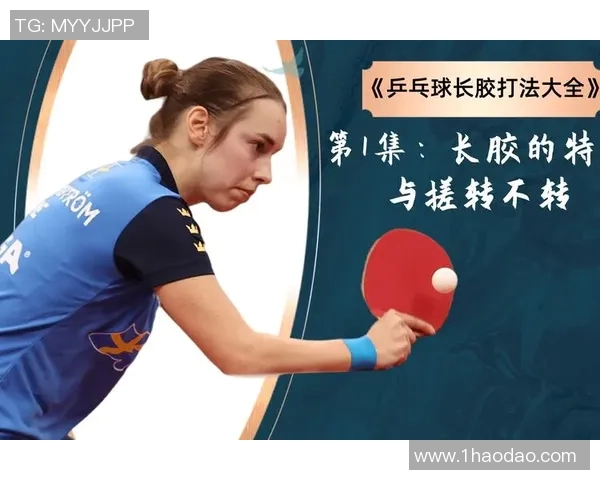 西安乒乓球队灵活性表现的数据分析与战术探讨 西安乒乓球队灵活性表现的数据分析与战术探讨
