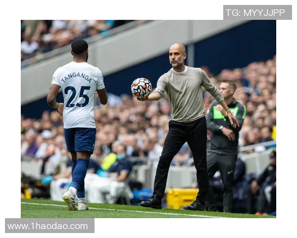 曼城与托特纳姆激情对决谁能在英超赛场上笑到最后