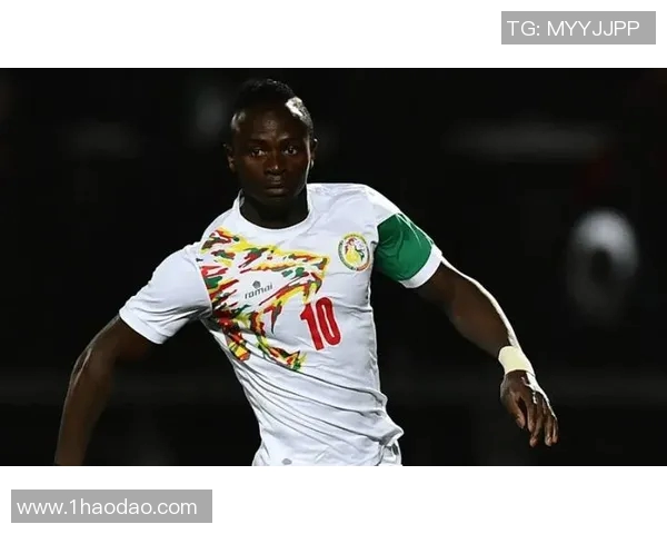 非洲杯激战喀麦隆对决贝宁精彩赛事回顾与分析 非洲杯激战喀麦隆对决贝宁精彩赛事回顾与分析