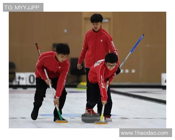 2016年冰壶锦标赛俄罗斯队精彩对决回顾与分析