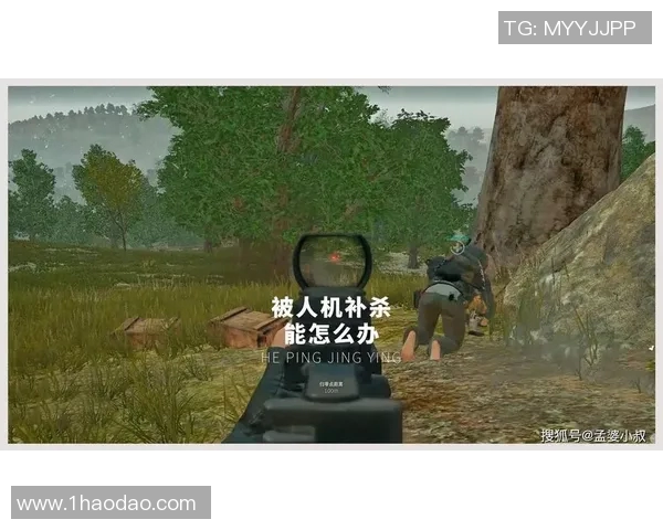 和平精英评论：BLG在比赛中的优势与劣势分析及其影响MBA