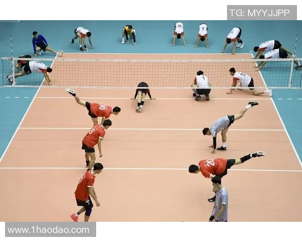 上海排球队防守策略解析:深度探讨排球技艺与团队协作 上海排球队防守策略解析:深度探讨排球技艺与团队协作