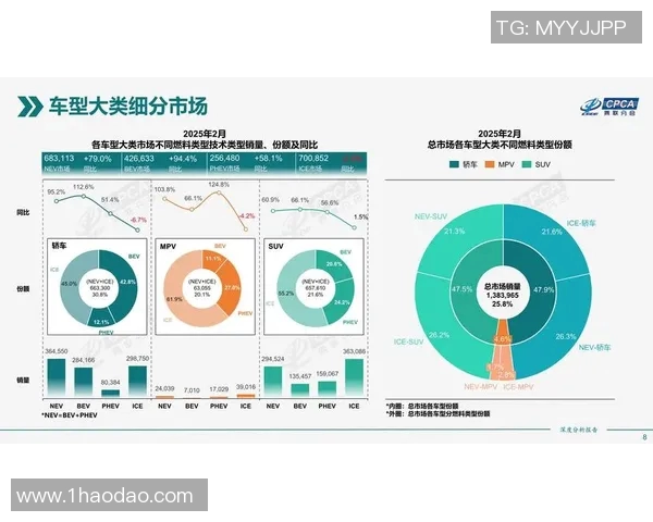 亚马尔地区的能源战略与全球市场的深度互动分析 亚马尔地区的能源战略与全球市场的深度互动分析
