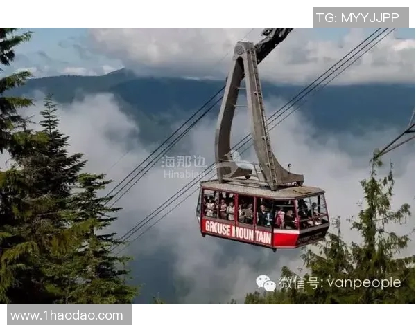 急流与温哥华数据分析对比研究揭示城市发展潜力与挑战