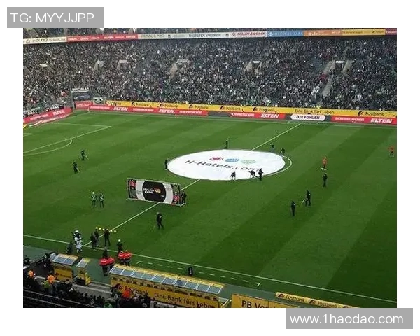 杭州足球队反击革新之路探索与展望全景分析MBA