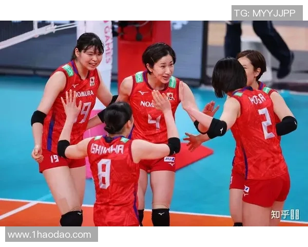 南京乒乓球队实力揭秘：乒乓球巨献背后的故事与成就