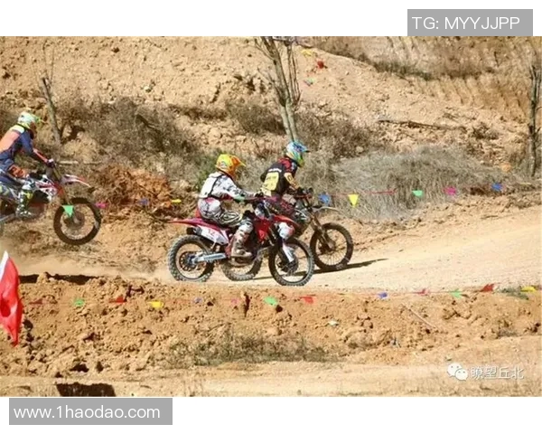 极限运动战术解析武汉极限运动队的中路突破与战术创新探讨